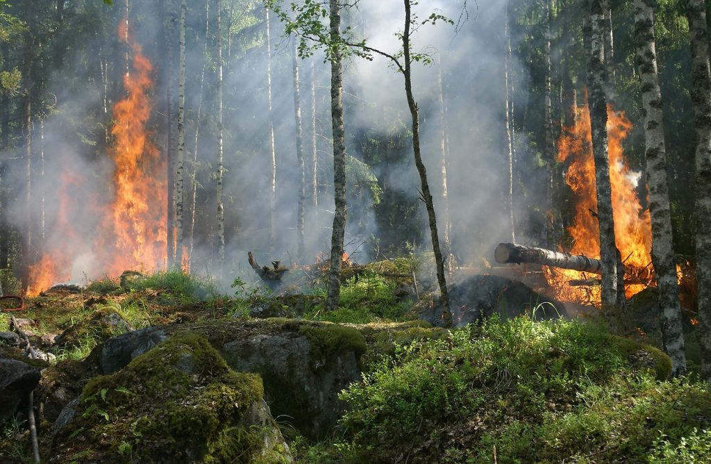 forest-fire- in Sweden