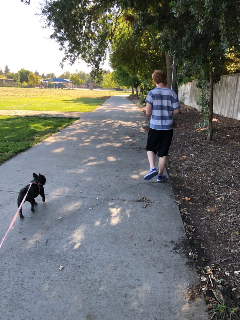 Morning Walk with Jukie and Margot